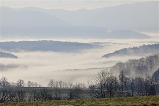 Fog in the valleys of the Black Forest near Biederbach, Emmendingen district, Baden-Wuerttemberg,