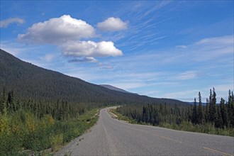 Road leads as endless grades through wilderness, no traffic, Alaska Highway, Alaska
