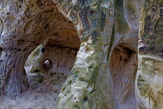 Carvings, moss and lichen in the Sandhoehlen, sandstone caves at Im Heers below the crags of
