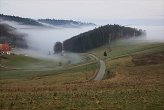 Landscape in the Black Forest with hills, meadow, road and forest in the morning with fog near