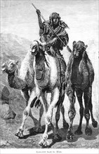 Camel ride through the desert, Egypt, Arabs, stick, Africa, historical illustration 1890, Africa