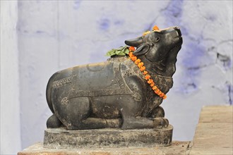 Stone statue of Nandi, the bull, adorned with a flower necklace, Varanasi, Uttar Pradesh, India,