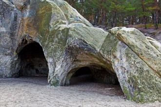 The Sandhoehlen, sandstone caves in forest called Im Heers below the crags of Regenstein near