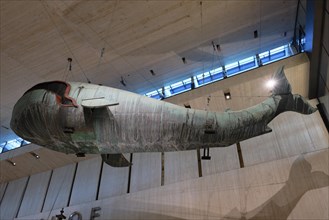 Whale Poldi, Vienna Museum, Laimgrube, Vienna, Austria, Europe