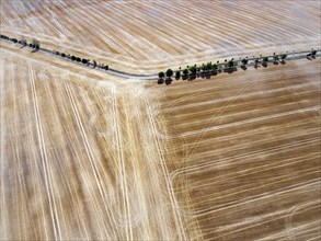 Tractor tracks in a field. Heat and drought have led to poor harvests, Thale, 28.07.2018