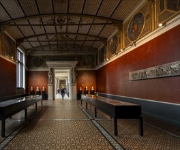 Exhibits and display cases, exhibition rooms in the Neues Museum, Museum Island, Berlin, Germany,