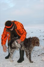 Hunter frees Griffon hunting dog from chunks of ice in its fur, Allgaeu, Bavaria, Germany, Europe