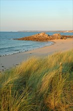A tranquil beach scene with grassy dunes in the foreground leading to a rocky outcrop by the sea,