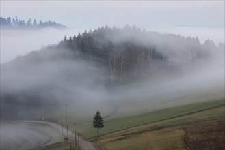 Landscape in the Black Forest with hills and forest in the morning with fog near Hofstetten,