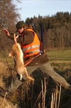 Huntress with safety waistcoat and hunted hare (Lepus europaeus) jumping over a ditch, Allgaeu,