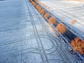 An aerial photo shows an avenue with trees leading through snow-covered fields on which tyre tracks