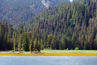 Elongated fjord with wooded shores and meadows, Khutzeymateen Grizzly Bear, Wilderness, British
