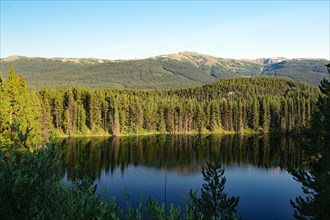 Evening mood at a quiet lake, forest, wilderness, Stewart Casssiar Highway, British Columbia,