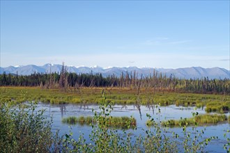 Tranquil lake and tundra landscape, mountains, wilderness, late summer, Alaska Highway, Tok,