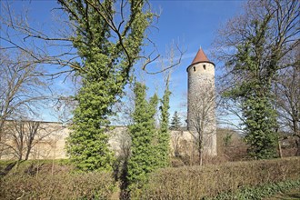 Historic owl defence tower with town wall, town fortification, defence tower, Iphofen, Lower