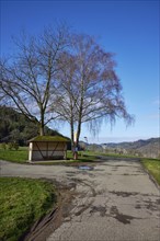 Bus bend, bus stop with bus shelter and wintry trees in Waldkirch, Emmendingen district,