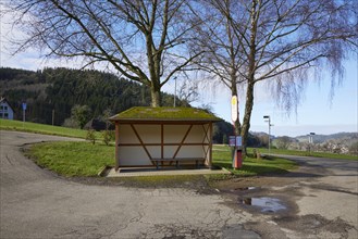 Bus bend, bus stop with bus shelter and wintry trees in Waldkirch, Emmendingen district,