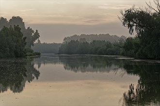 Morning mist over the water in the UNESCO Danube Delta Biosphere Reserve. Munghiol, Tulcea,