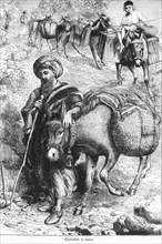 Donkey driver in Cairo, Egypt, donkey, beast of burden, transport, old man, turban, Africa,