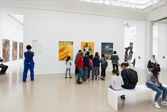 Museum of Modern Art, Musee d'Art Moderne de la Ville de Paris, Paris, Ile de France, France,