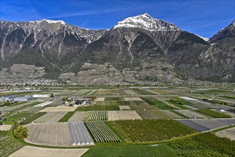 Fields and plantations for the cultivation of fruit and vegetables under the snow-covered summit of