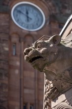 Gargoyle, demonic animal figure on the pavilion, clock from the clock tower, historic Wilhelmine