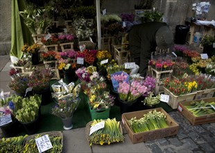 Bunches of flowers on display outside florist street stall, Bath, England, United Kingdom, Europe
