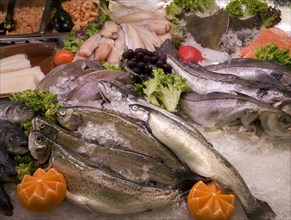 Display of fresh seafood, Oudeschild, Texel, Netherlands