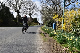 Cyclist in spring on a country road in Schleswig-Holstein, Germany, Europe