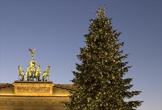 Festively decorated Christmas tree at the Brandenburg Gate, Berlin, 02.12.2016