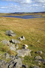 Loch of Burga Water, near Walls, Mainland, Shetland Islands, Scotland, United Kingdom, Europe
