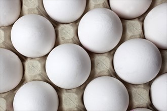 White eggs in an egg carton, 14/03/2015
