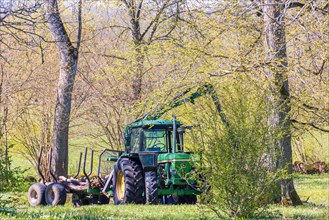 Tractor with wagon for forestry work in a grove of green trees at springtime
