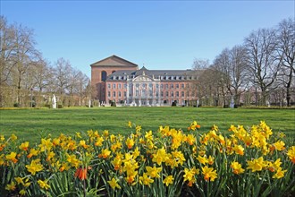 Electoral palace and Constantine basilica with palace garden in spring and blooming daffodils,