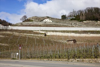 Slope with terraces for viticulture and residential buildings in the UNESCO World Heritage Site