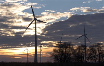 Windmills for power generation in a wind farm in Ketzin, 19.01.16