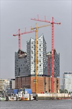 Elbe Philharmonic Hall under construction with cranes and grey sky in the background in Hamburg,