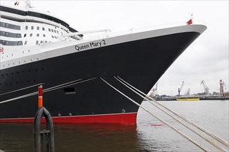 Front view of the bow of the Queen Mary 2 showing the waterline on the hull, Hamburg, Hanseatic