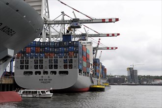 Large container ship WAN HAI 501 moored in the harbour on a cloudy day, Hamburg, Hanseatic City of