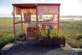 Orange colour theme decorated bus shelter, Haroldswick, Unst, Shetland Islands, Scotland, United