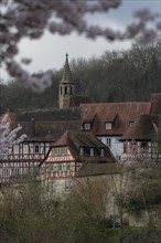 Beginning of spring in Schwaebisch Hall, Kocher valley, Kocher, old town, Johanniterkirche, art