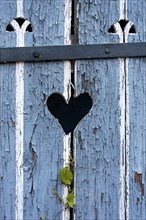 Wooden door with heart, stable door, light-coloured varnish, weathered, leaves of knotweed