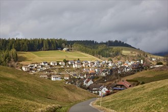 Sunny landscape in the Black Forest with cloudy sky and view of Guetenbach, Black