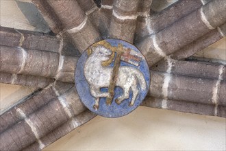 Lamb of God Agnus Dei, vault keystone in the Gothic vault, St Clare's Church, Koenigstrasse 66,