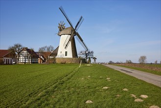 The Eickhorst windmill, a Wallhollaender dating from 1848, is part of the Westphalian Mill Road
