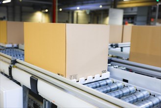 Cartons for dispatch on a conveyor belt in a logistics centre, Cologne, North Rhine-Westphalia,