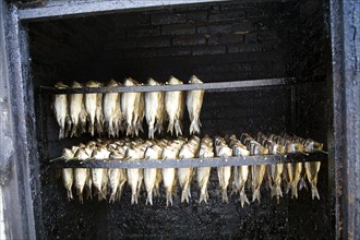 Smoking herrings, Zuiderzee museum, Enkhuizen, Netherlands