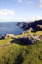 Coastal scenery at Esha Ness, Shetland Islands, Scotland, United Kingdom, Europe
