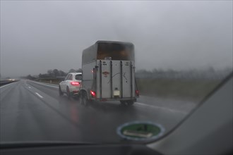SUV with horse trailer on the motorway in the rain, Brandenburg, Germanybd