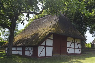 Historic thatched barn from the 18th century, open-air museum for folklore Schwerin-Muess,